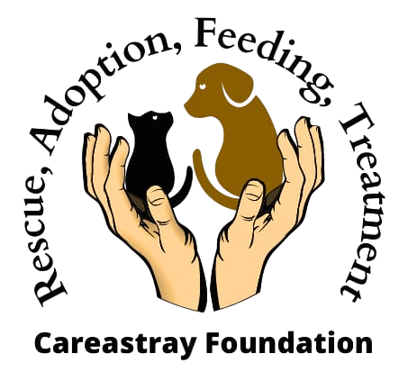 Careastray Foundation