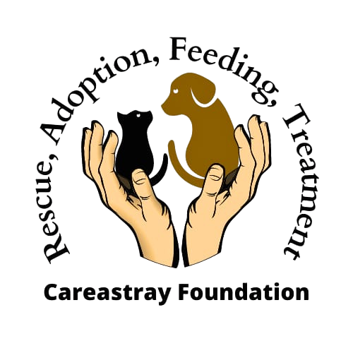 Careastray Foundation