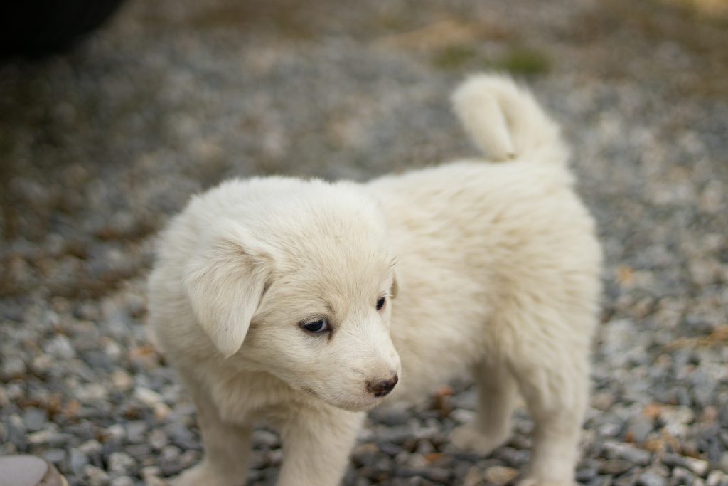 Hello World Featured Image