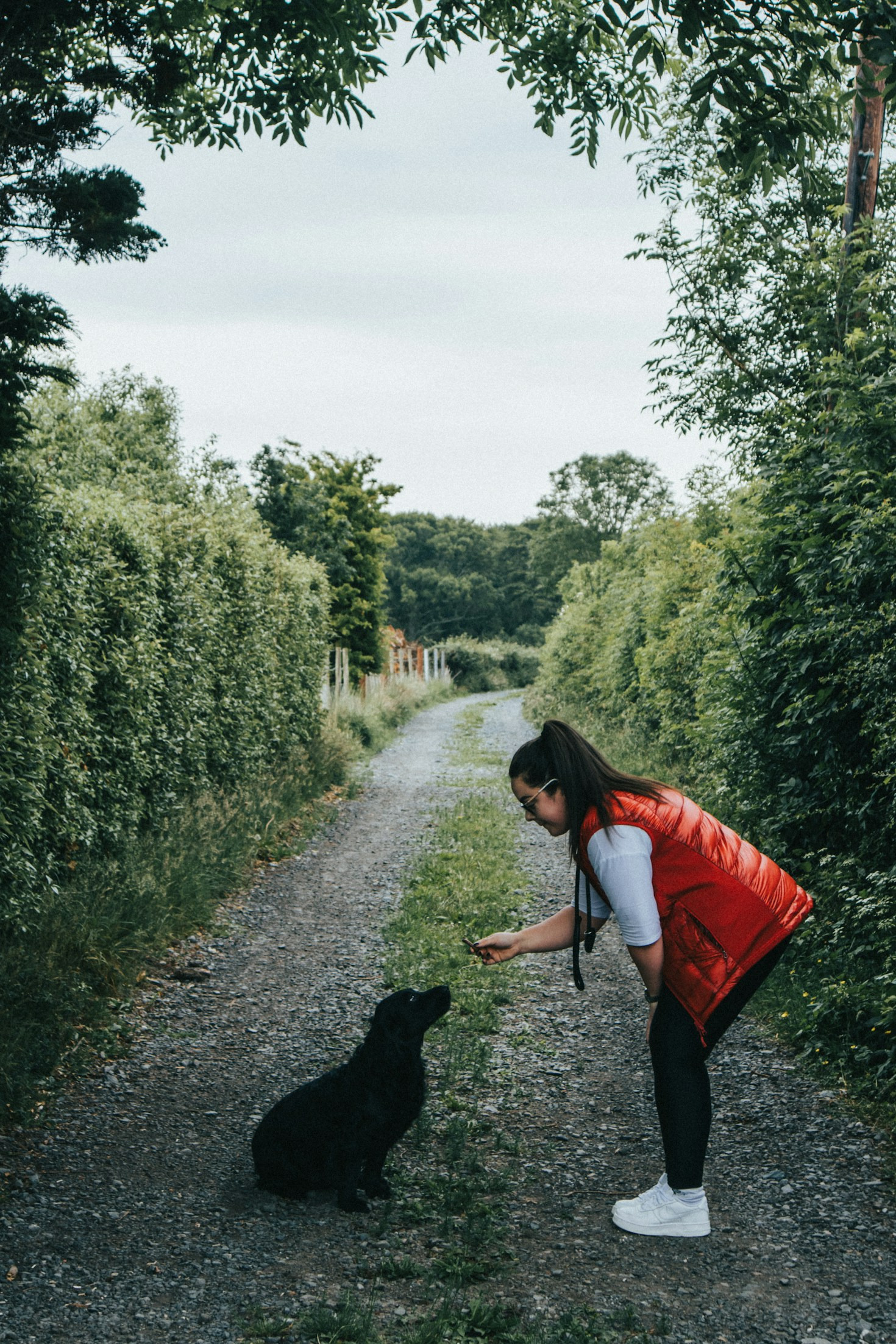 Behind the Scenes of a Midnight Stray Rescue