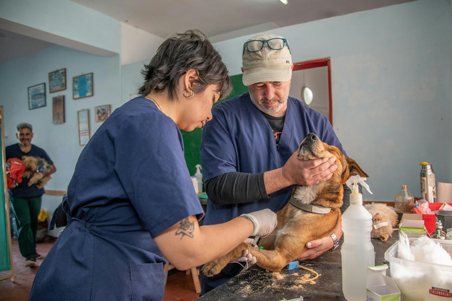 The True Cost of Street Care and Rehabilitation